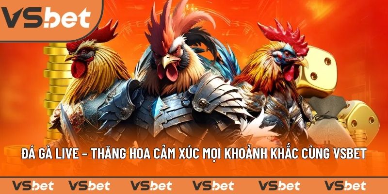 gioi-thieu-sanh-game-da-ga-vsbet