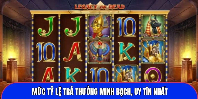 muc-ty-le-tra-thuong-minh-bach-uy-tin-nhat